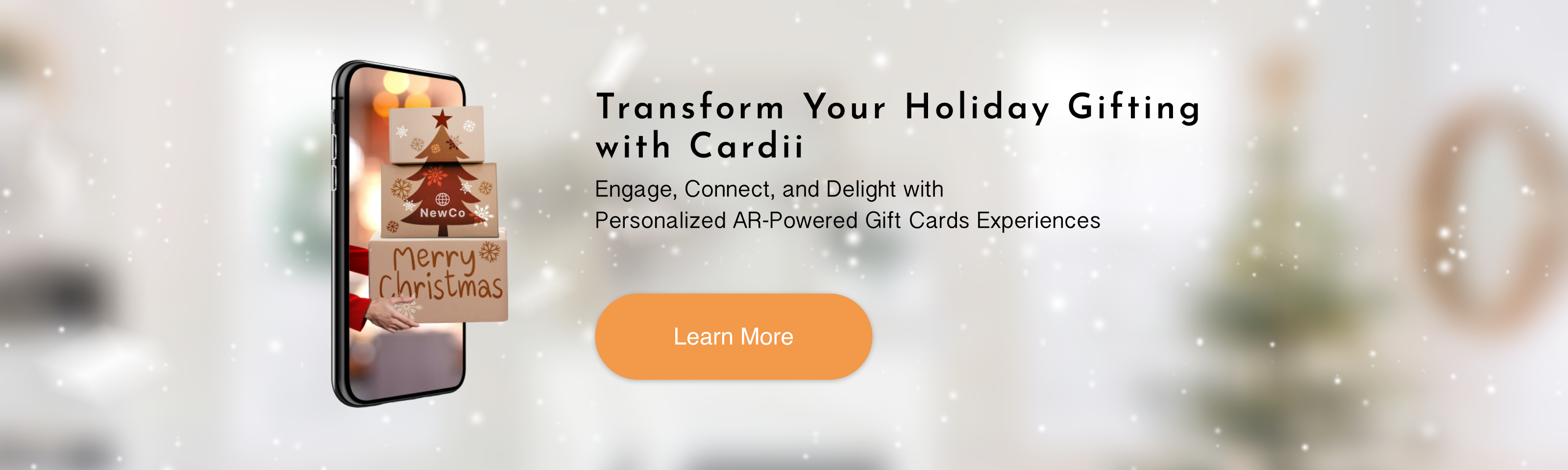 Holiday - Web